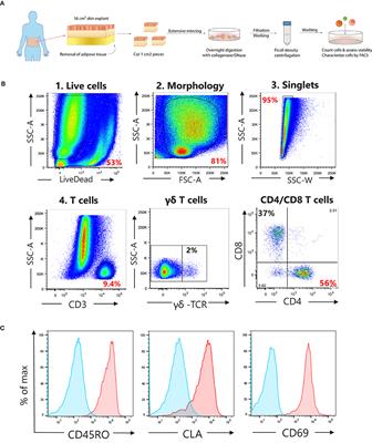 Staphylococcus aureus-Specific Tissue-Resident Memory CD4+ T Cells Are Abundant in Healthy Human Skin